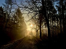 Sonnenuntergang in der Dübener Heide
