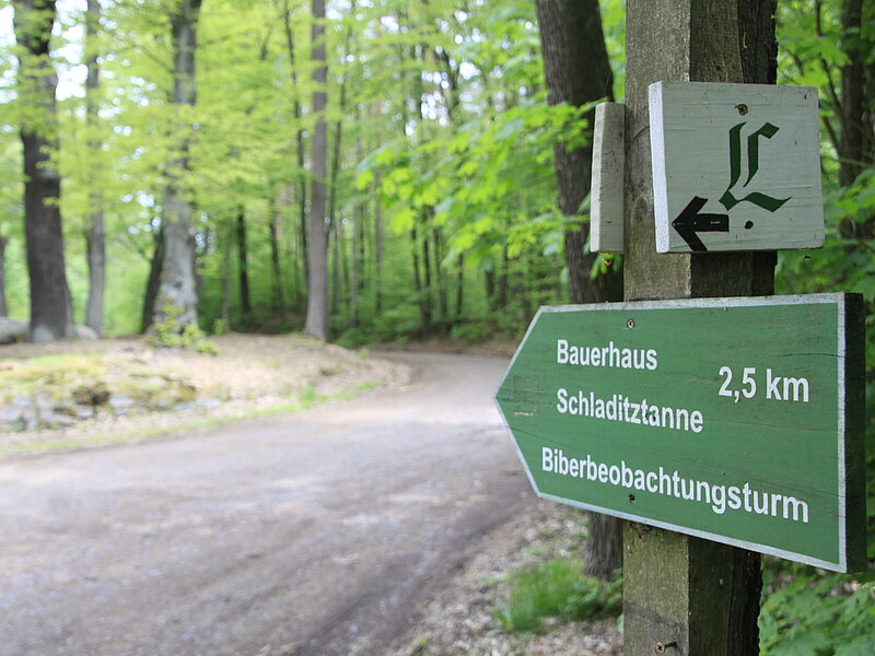 Im Vordergrund ein Wanderwegweiser. Im Hintergrund Lutherstein 
