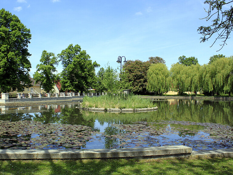 Blick auf Vorstadtteich mit bewachsener grüner Insel