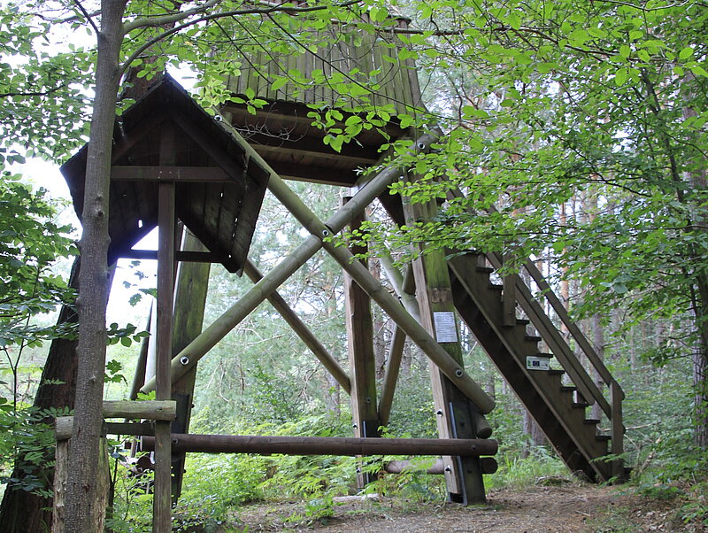 Der Biberbeobachtungsturm in Schköna.