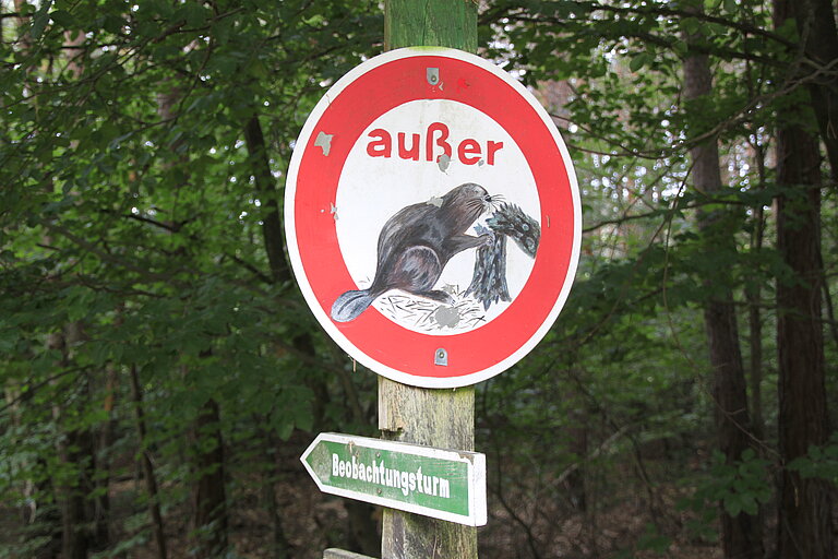 Hinweisschild zu dem Biberbeobachtungsturm in Schköna.