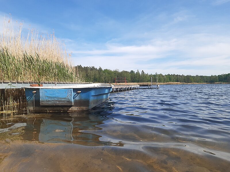 Steg am Möhlauer See