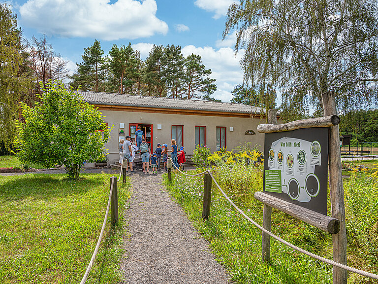 Waldhaus am Bergwitzsee
