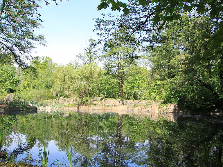 Blick über Steinbruchsee. Viele Bäume stehen ringsherum