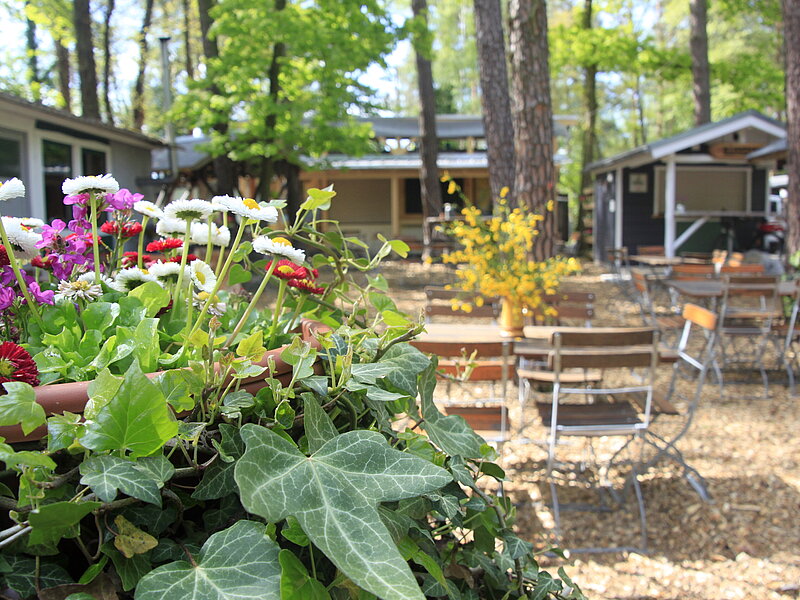 Im Vordergrund stehen bunte Blumen. Dahinter sieht man den schattigen Biergarten des Platzes