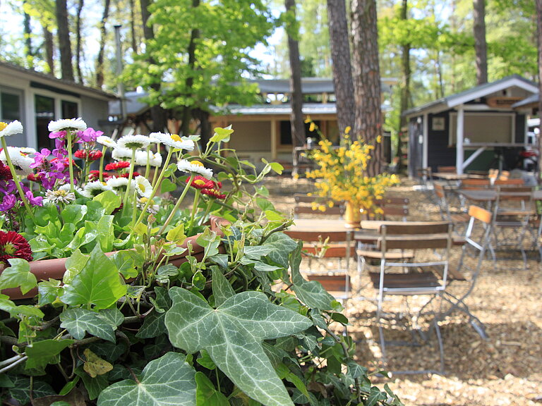 Im Vordergrund stehen bunte Blumen. Dahinter sieht man den schattigen Biergarten des Platzes
