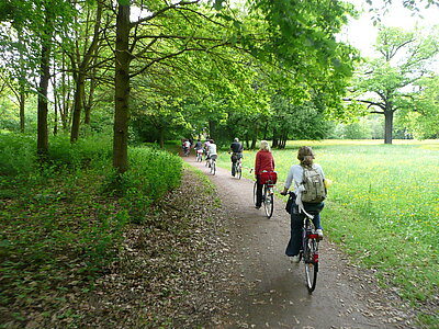 Eine große Gruppe von Radfahrern fährt an Bäumen vorbei.