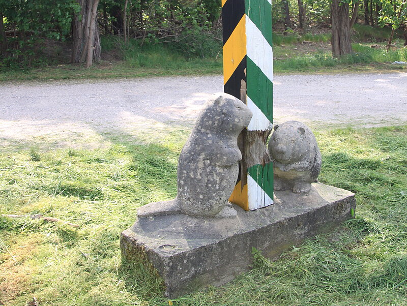 Hier sieht man die Biberstele in Tornau. Es sind zwei Biber zu sehen, die einen Holzstamm aknabbern.