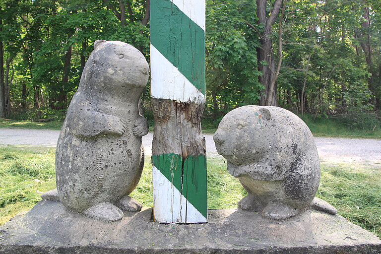 Hier sieht man die Biberstele in Tornau. Zu sehen sind zwei Biber die einen Holzstamm anknabbern.