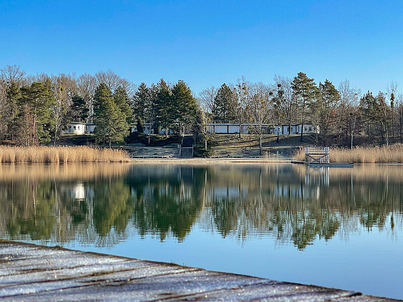 Blick vom See Richtung Seeidyll