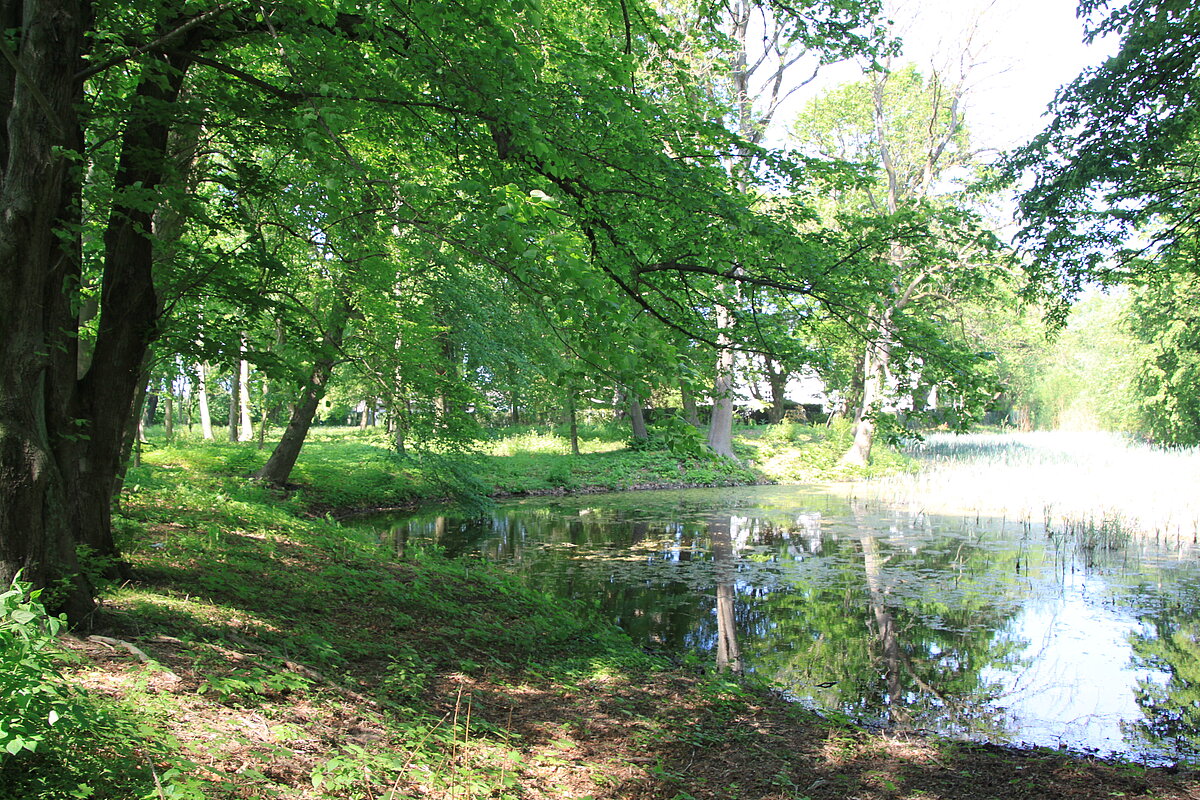 Schlosspark Schköna Stadt Gräfenhainichen