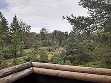 Aussicht vom Biberbeobachtungsturm in Schköna.