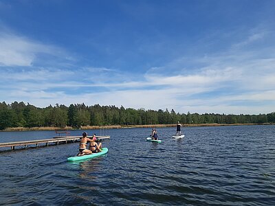 SUP auf dem Möhlauer See. Drei Frauen paddeln an einem Steg vorbei.