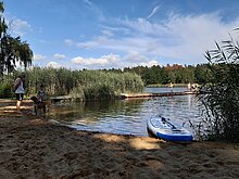 Badegäste am Möhlauer See