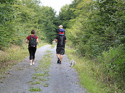 Eine Frau, ein Kind sitzend auf den Schultern des Papas und ein Hund gehen im Wald spazieren.