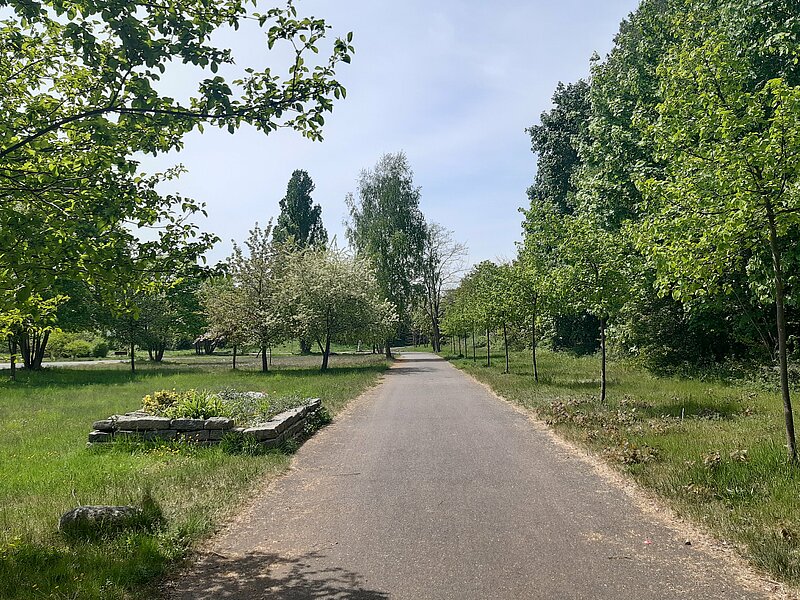 Im Gemeindepark befinden sich Straßen. Bäume spenden den Besuchern Schatten.
