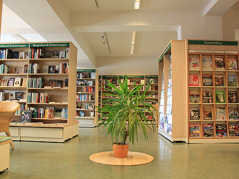 Viele Regale mit Büchern. In der Mitte des Raumes steht eine große Grünpflanze.