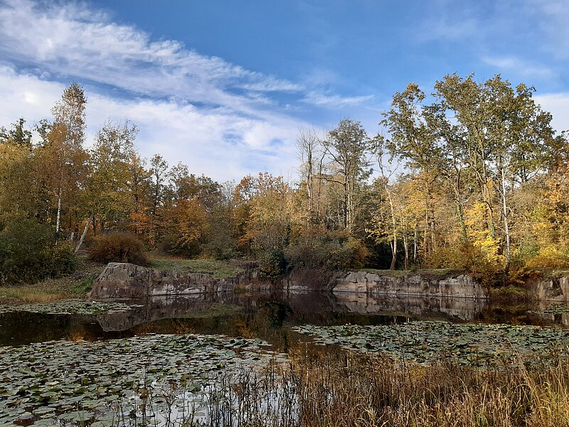 Steinbruch im Herbst