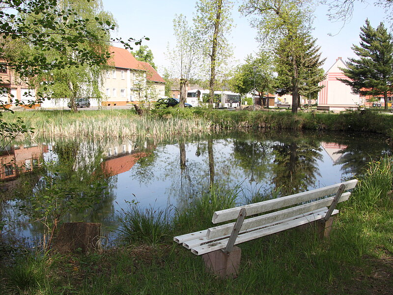 Dorfteich nahe Buswendeplatz mit Bank