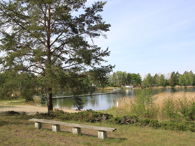 Terrassenartige Liegewiese mit Bänken im Strandbad Möhlau