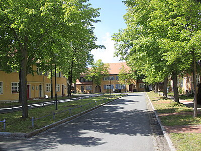 Blick in die Werkssiedlung Kolonie. Grüne Bäume spenden Schatten. In der Mitte befindet sich eine Verkehrsinsel.  