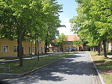 Blick in die Werkssiedlung Kolonie. Grüne Bäume spenden Schatten. In der Mitte befindet sich eine Verkehrsinsel.  