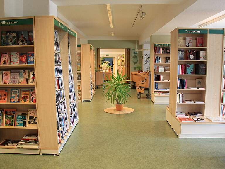 Größerer Einblick in den Bibliotheksraum, viele Regale stehen links und rechts. Eine Pflanze steht in der Mitte der Räumlichkeiten. 